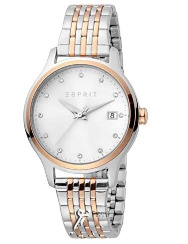 ES1L198M0105